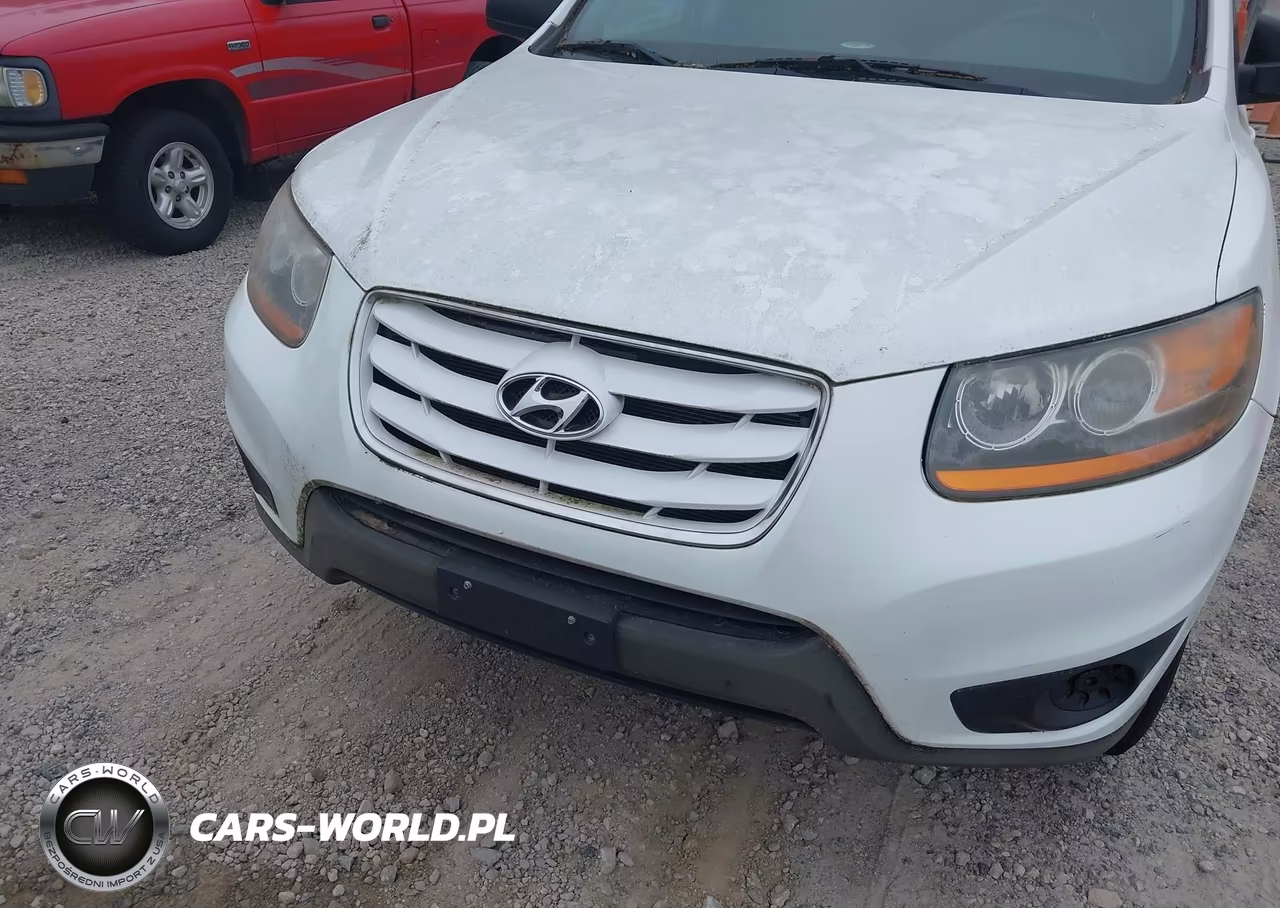 2010 Hyundai Santa Fe Gls VIN:5NMSG3AB4AH335446 - 6
