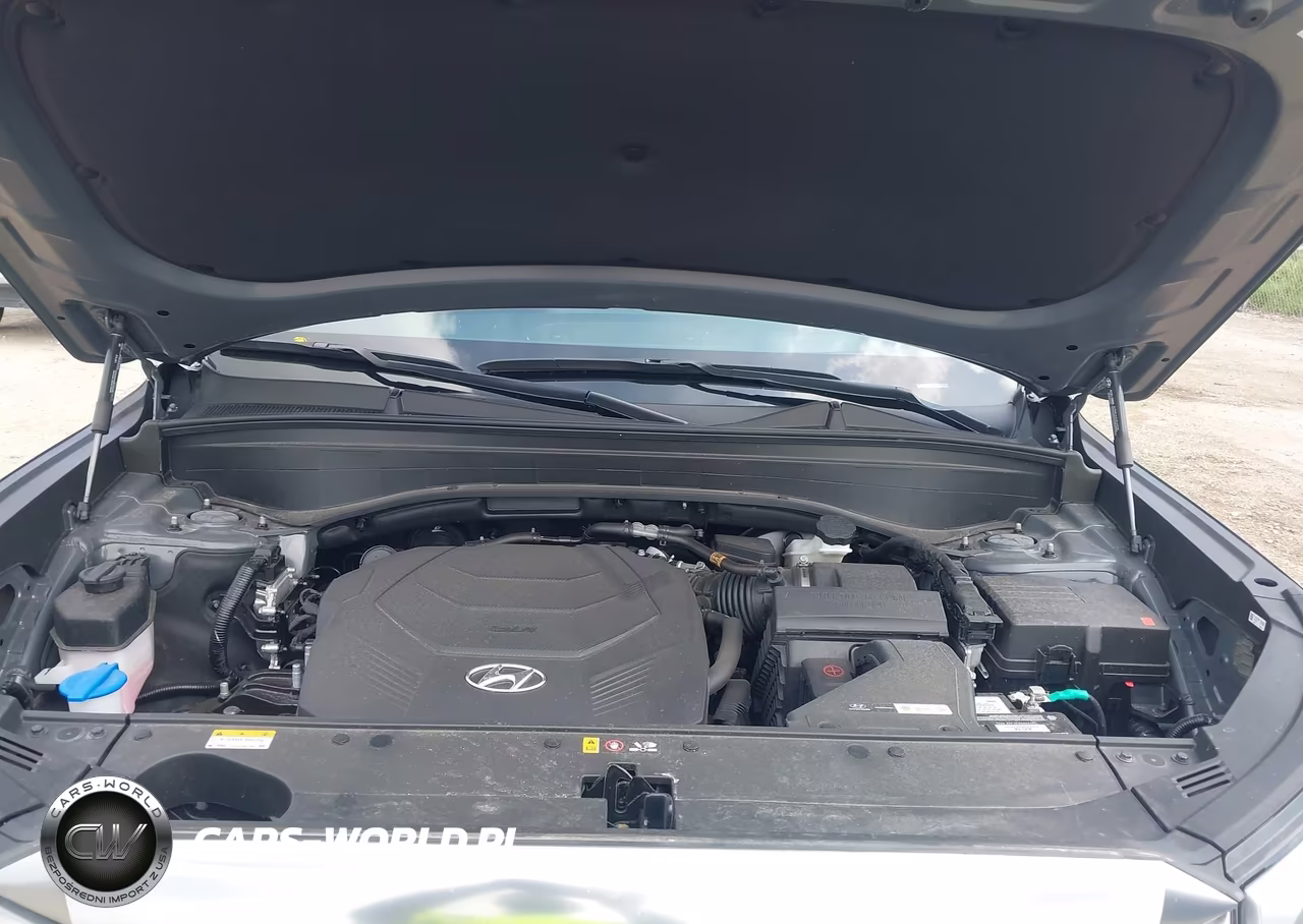 2025 Hyundai Palisade Calligraphy VIN:KM8R7DGE5SU879109 - 10