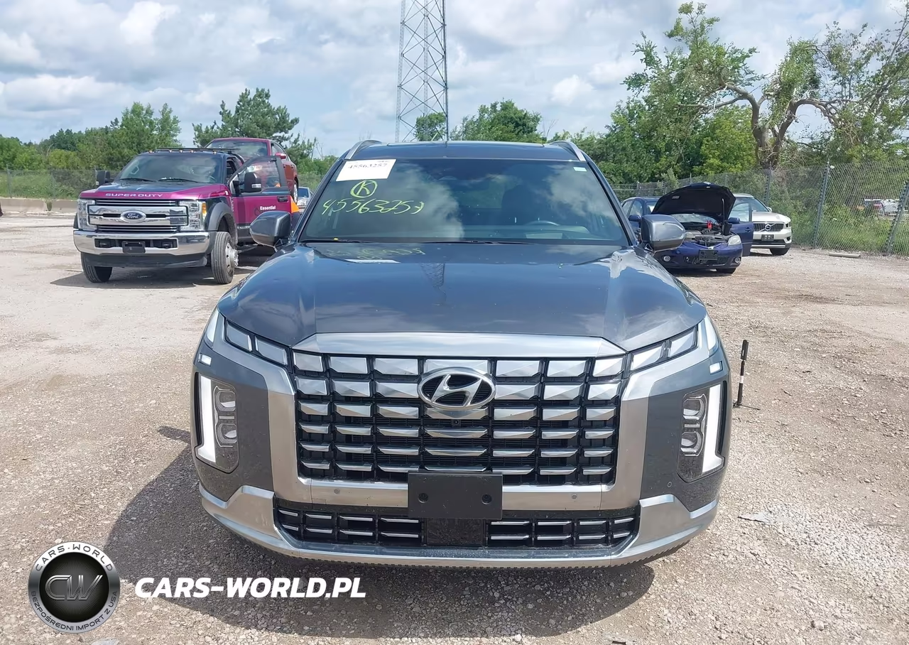 2025 Hyundai Palisade Calligraphy VIN:KM8R7DGE5SU879109 - 12