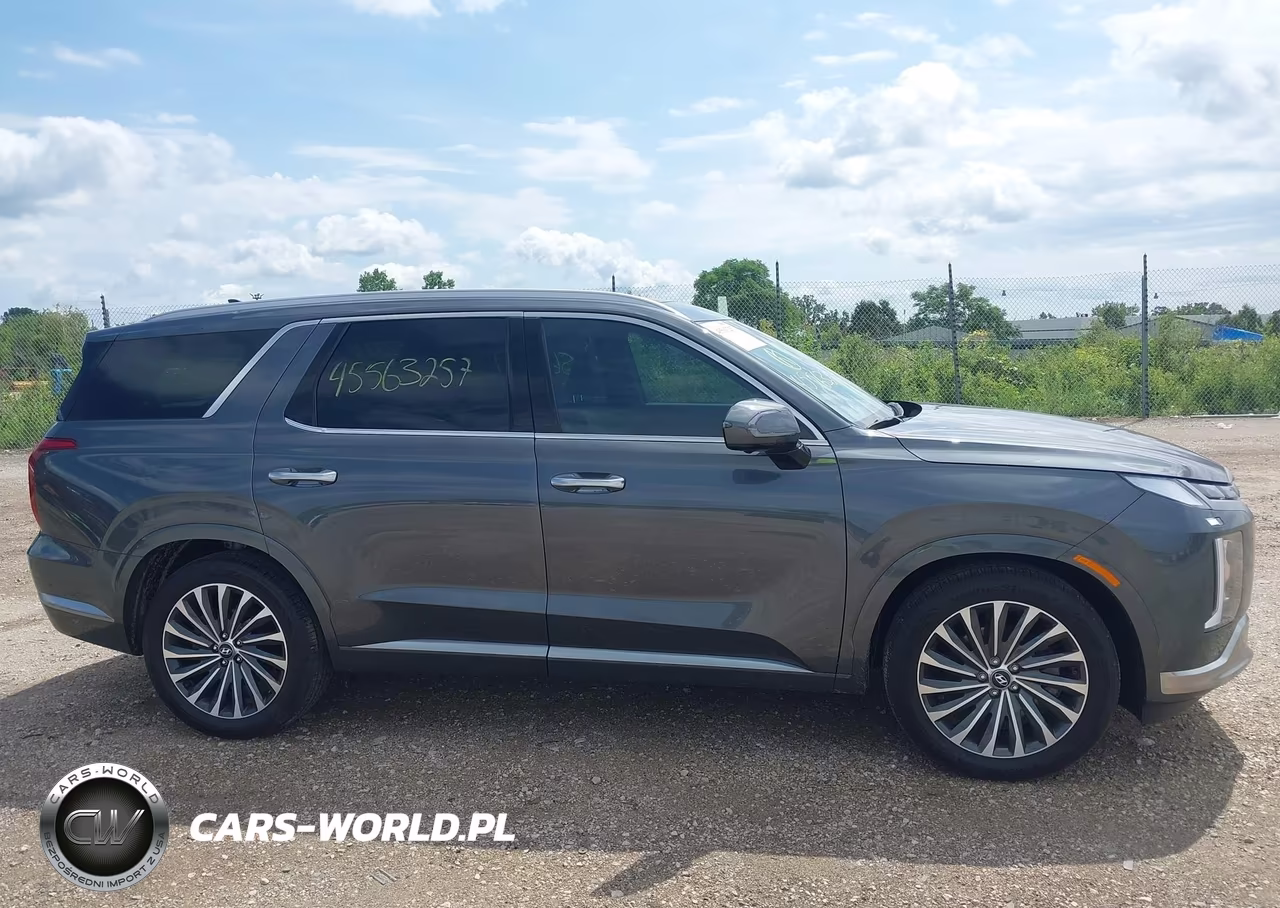 2025 Hyundai Palisade Calligraphy VIN:KM8R7DGE5SU879109 - 13