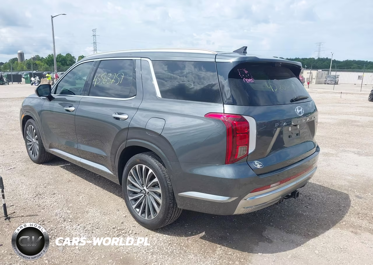 2025 Hyundai Palisade Calligraphy VIN:KM8R7DGE5SU879109 - 3