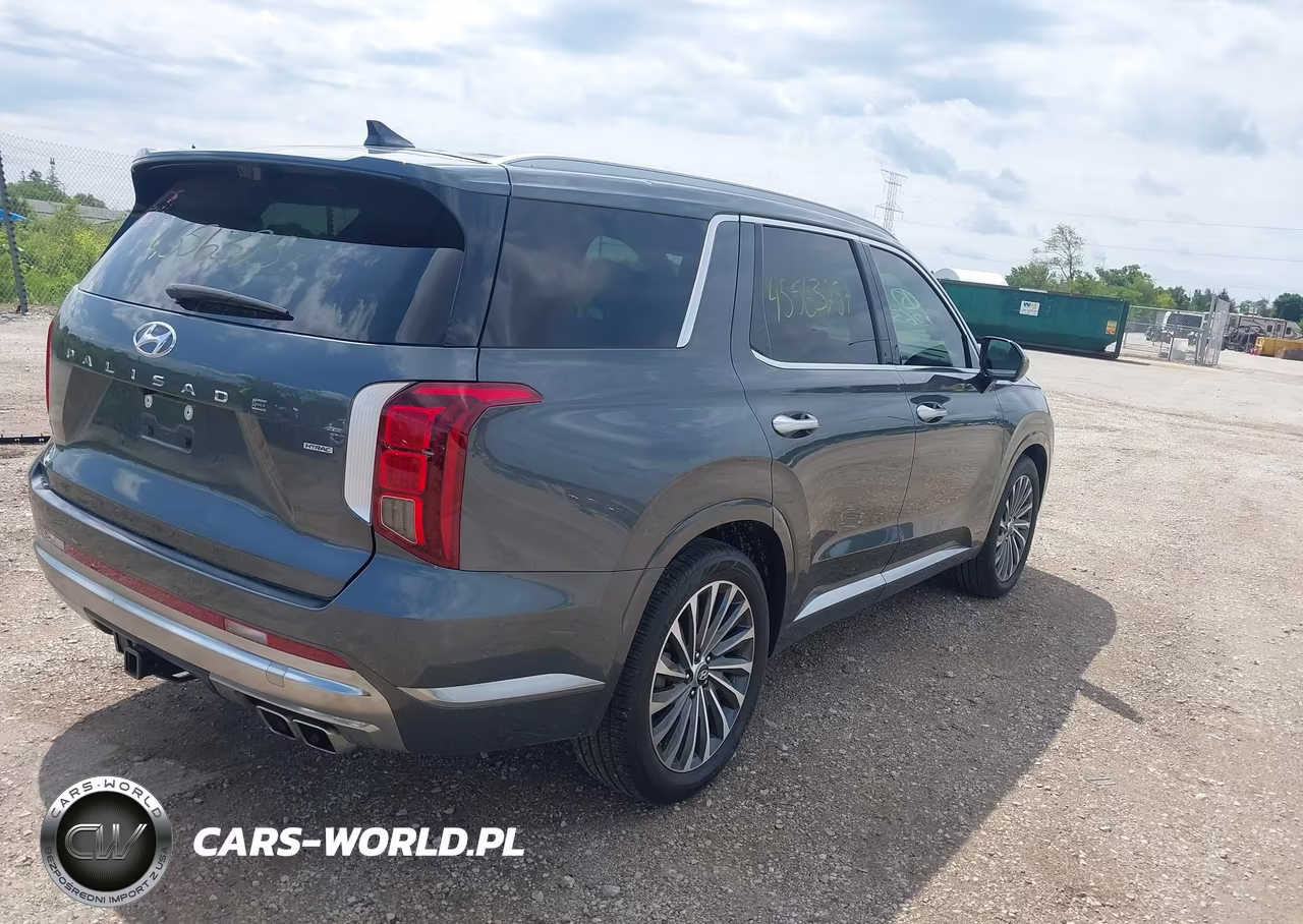 2025 Hyundai Palisade Calligraphy VIN:KM8R7DGE5SU879109 - 4