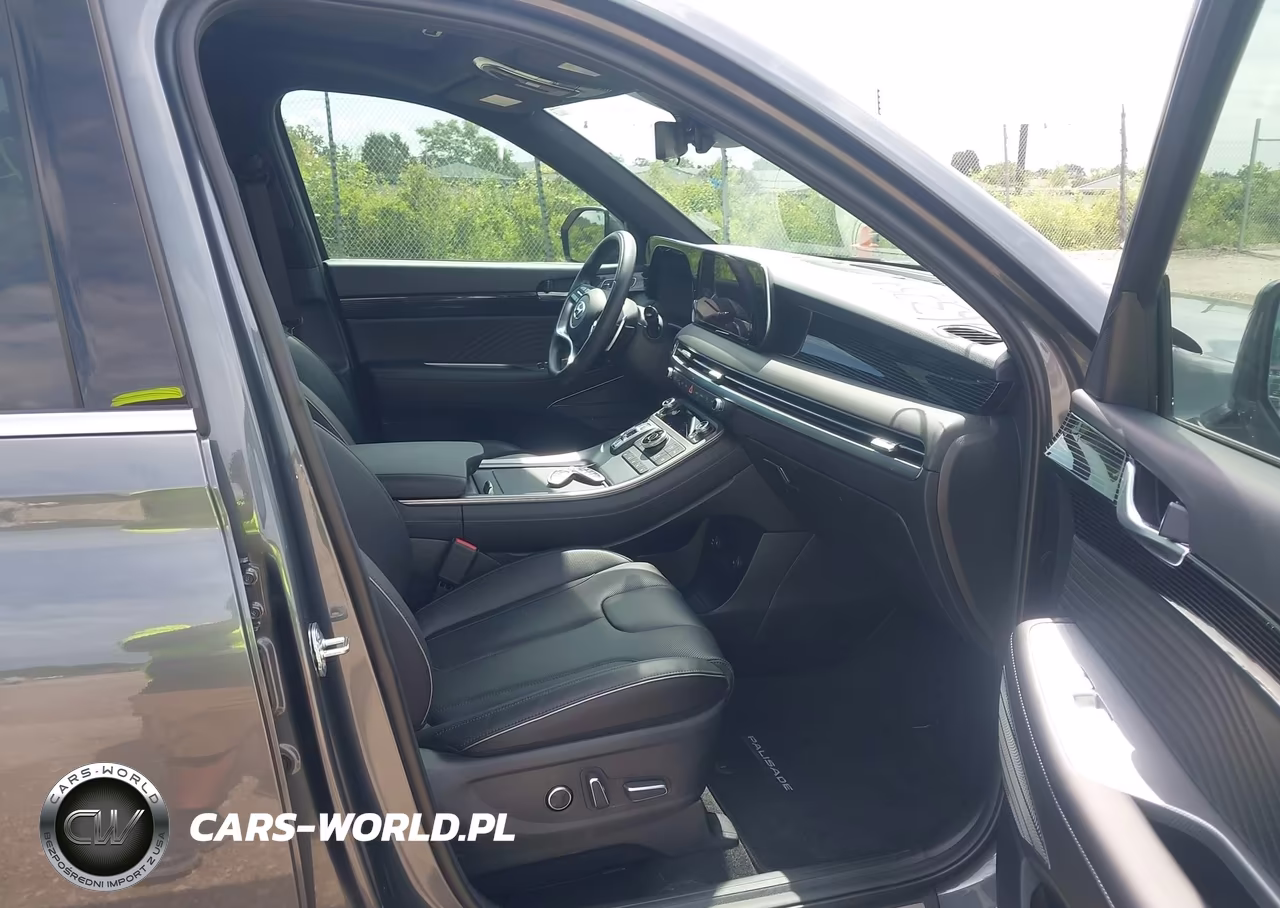 2025 Hyundai Palisade Calligraphy VIN:KM8R7DGE5SU879109 - 5