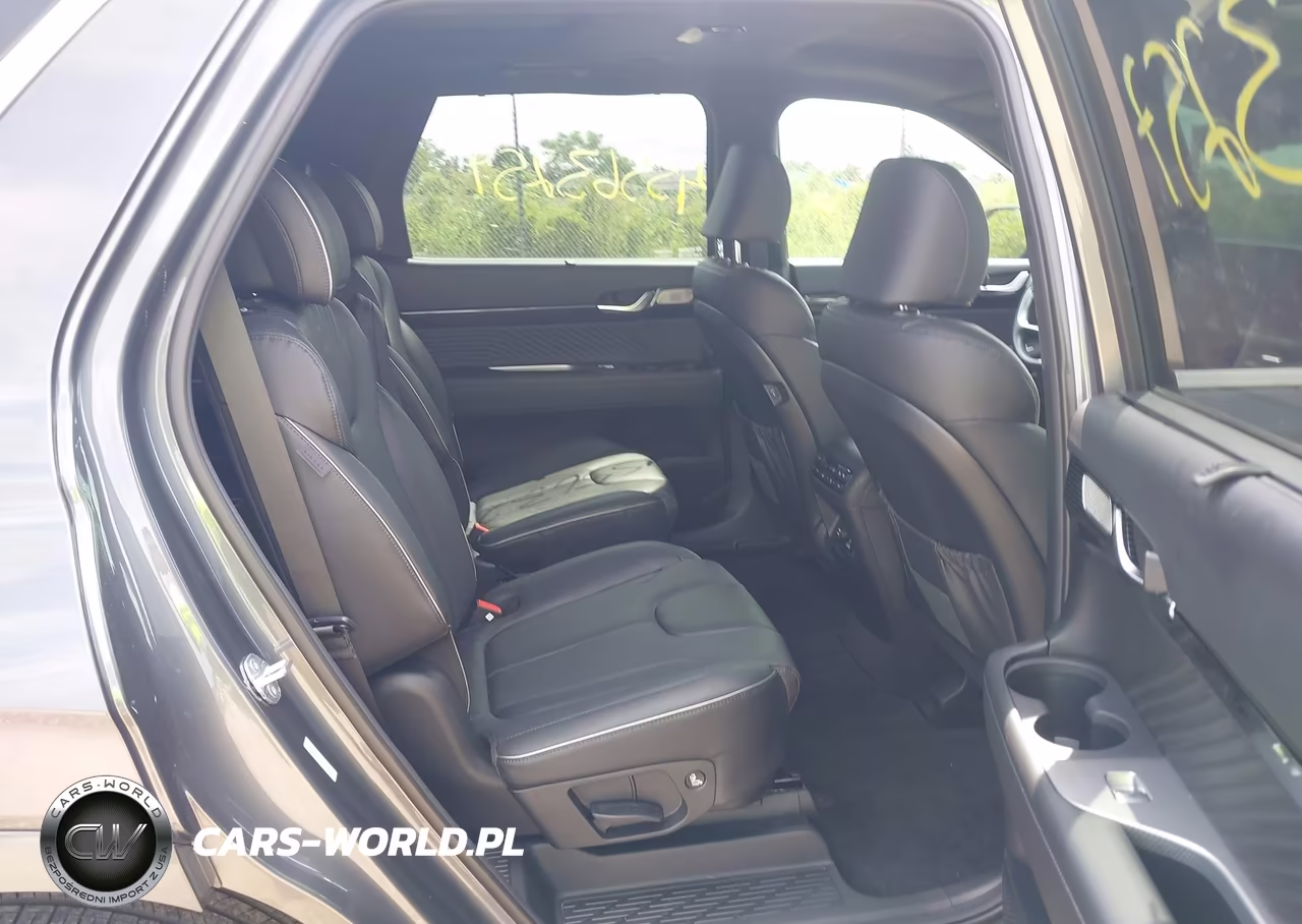 2025 Hyundai Palisade Calligraphy VIN:KM8R7DGE5SU879109 - 8