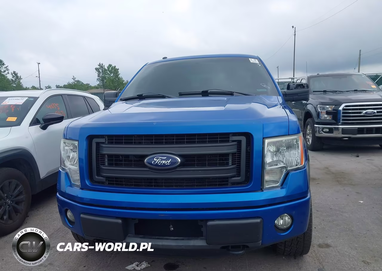 2013 Ford F-150 Stx VIN:1FTEX1EM2DFA03214 - 12