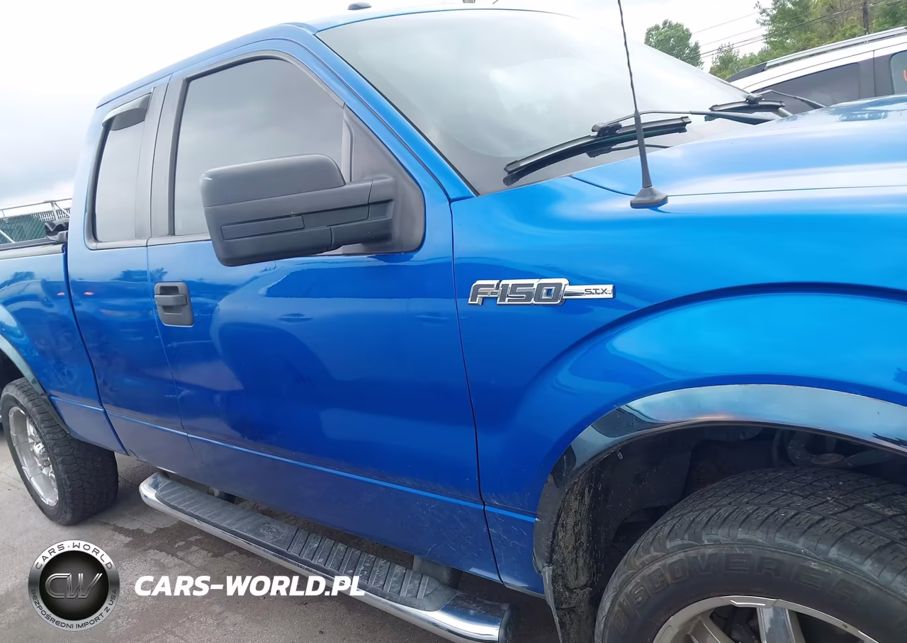 2013 Ford F-150 Stx VIN:1FTEX1EM2DFA03214 - 13