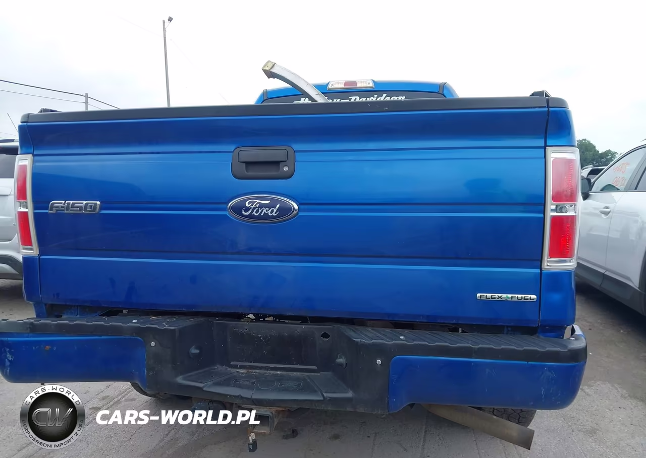 2013 Ford F-150 Stx VIN:1FTEX1EM2DFA03214 - 16