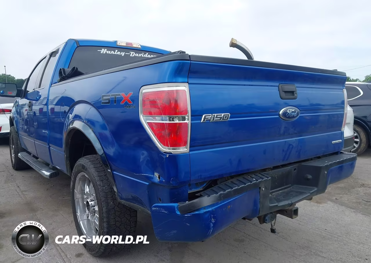 2013 Ford F-150 Stx VIN:1FTEX1EM2DFA03214 - 3