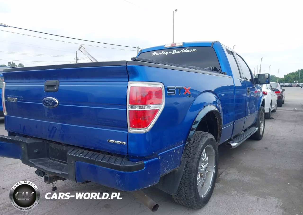 2013 Ford F-150 Stx VIN:1FTEX1EM2DFA03214 - 4