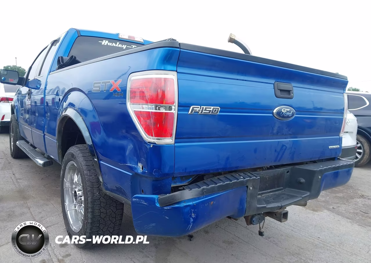 2013 Ford F-150 Stx VIN:1FTEX1EM2DFA03214 - 6