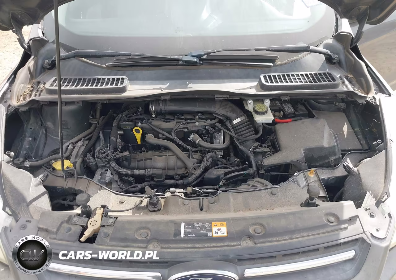 2013 Ford Escape Se VIN:1FMCU0GX2DUA39882 - 10