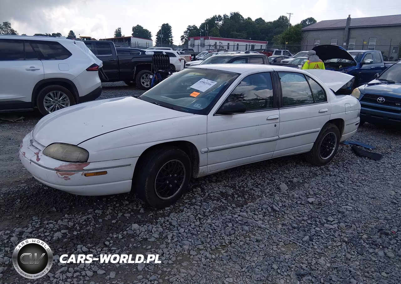 1995 Chevrolet Lumina VIN:2G1WL52MXS1101982 - 2