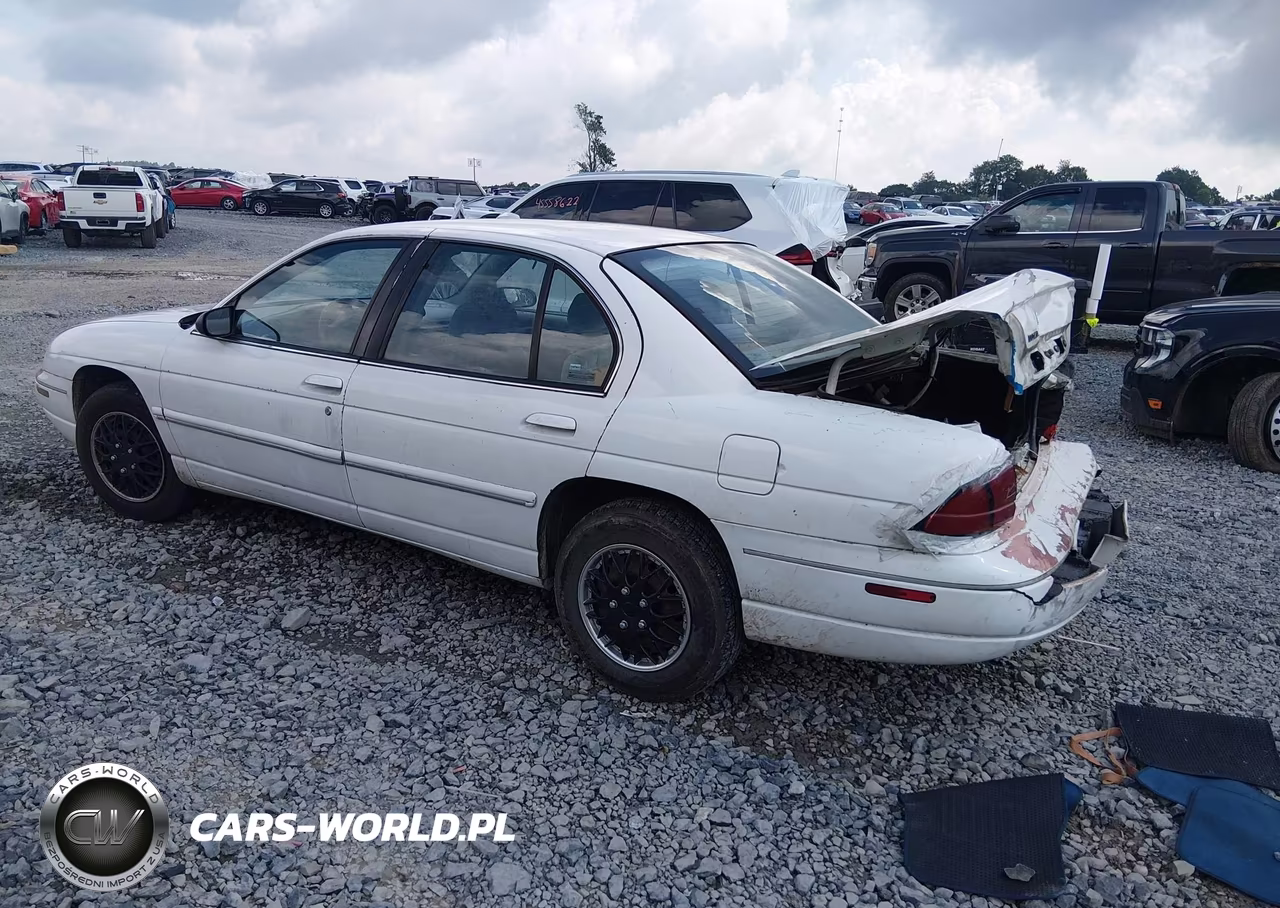 1995 Chevrolet Lumina VIN:2G1WL52MXS1101982 - 3
