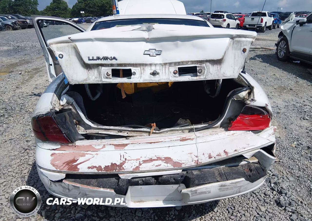 1995 Chevrolet Lumina VIN:2G1WL52MXS1101982 - 6