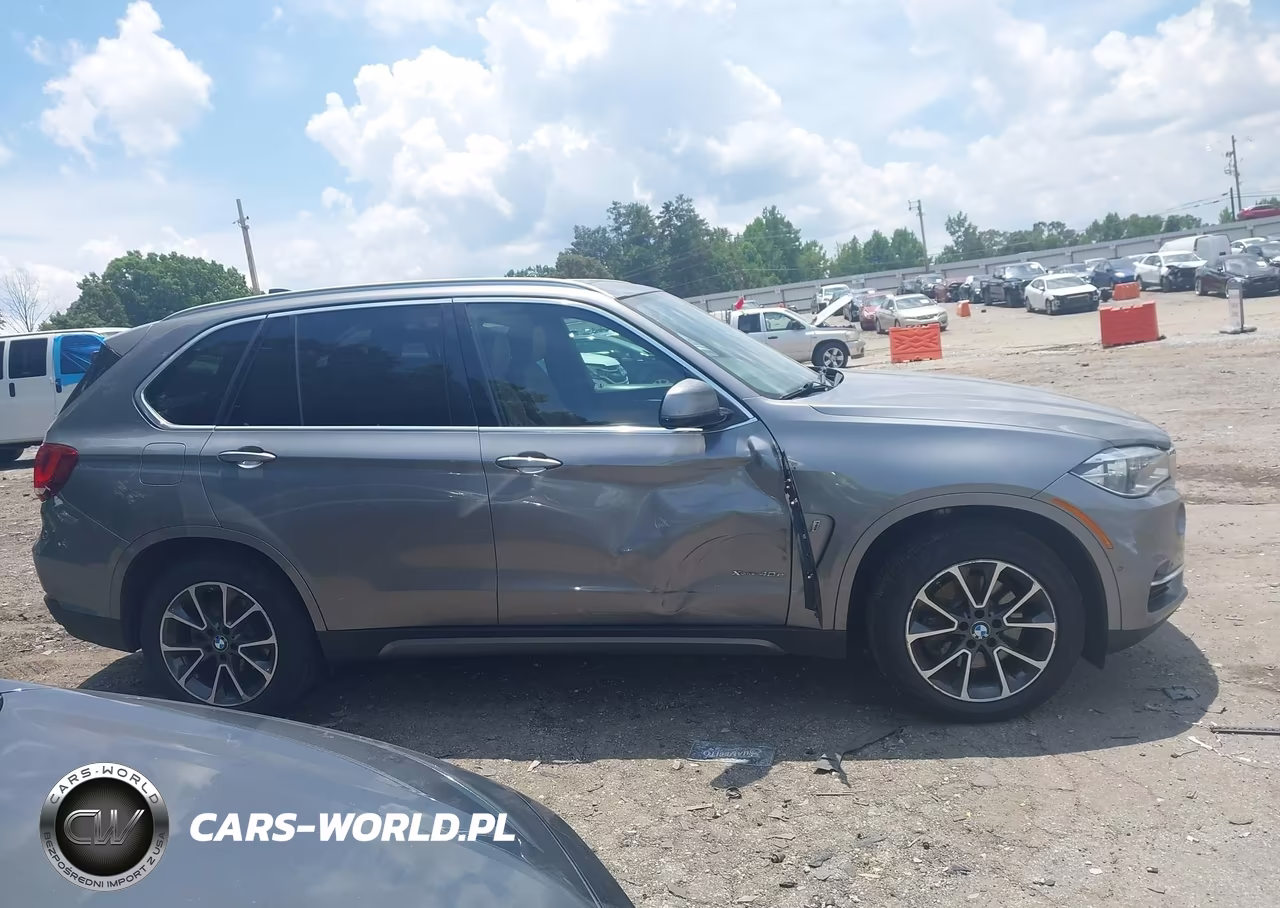 2018 BMW X5 Edrive xDrive40E Iperformance VIN:5UXKT0C55J0W04005 - 13