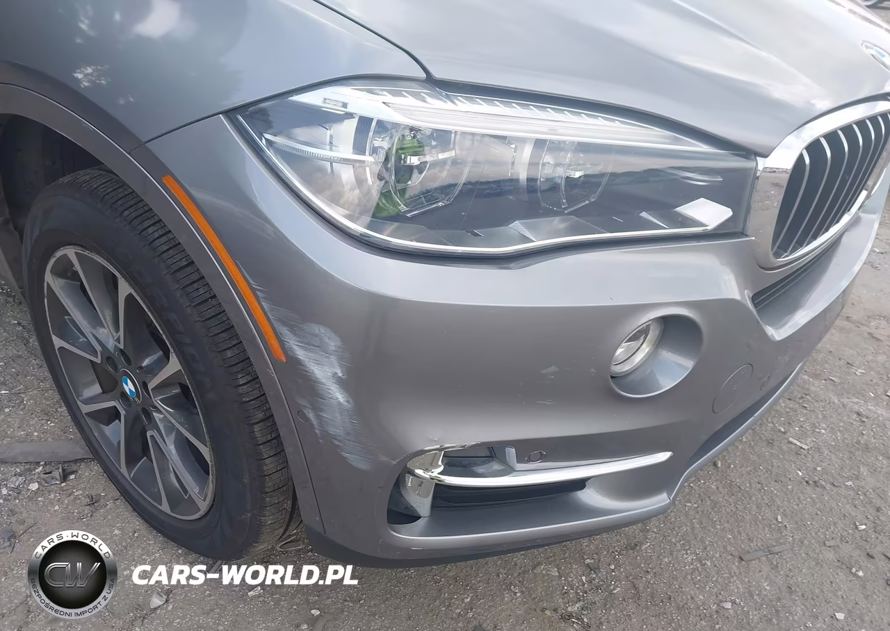 2018 BMW X5 Edrive xDrive40E Iperformance VIN:5UXKT0C55J0W04005 - 17