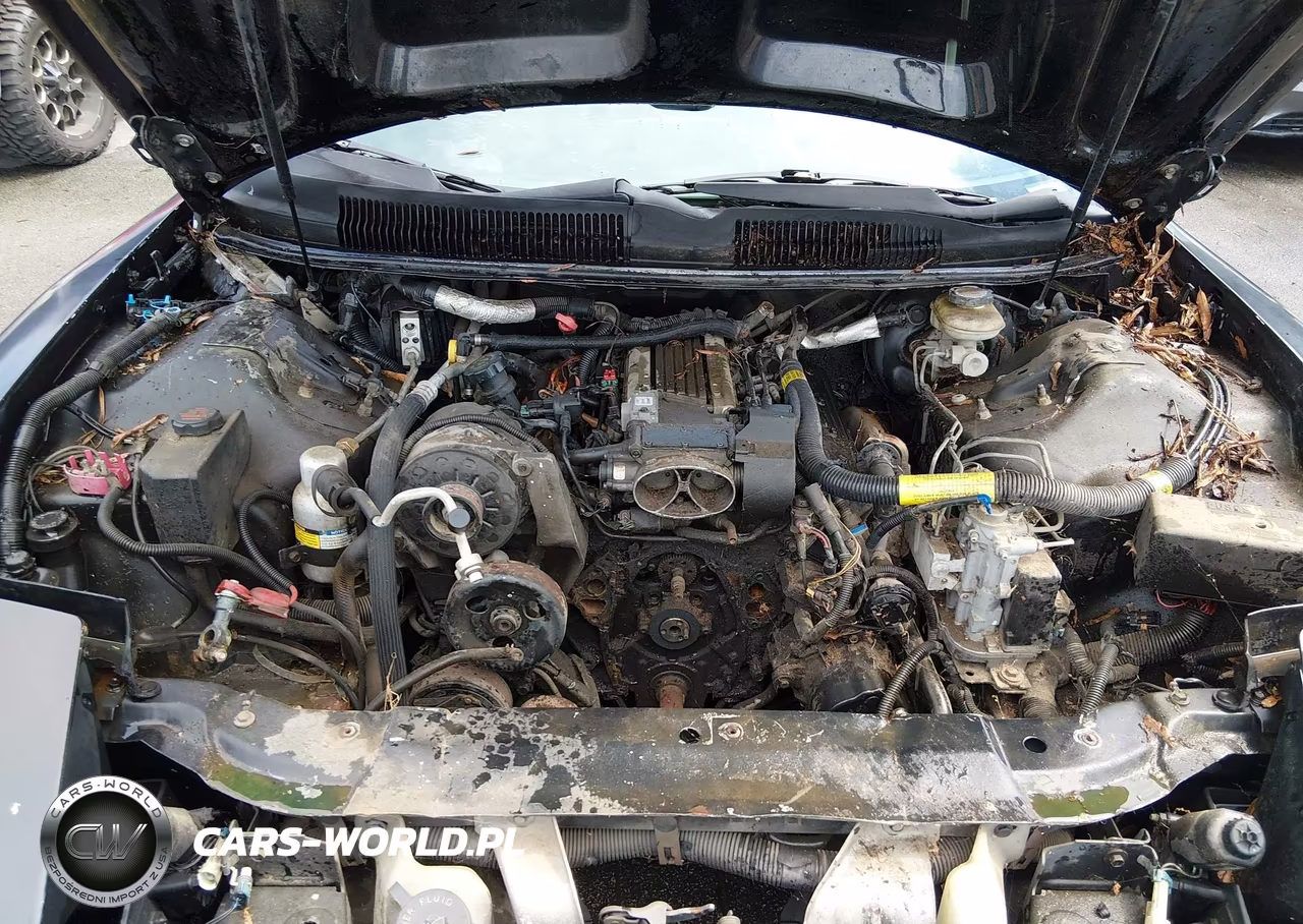 1996 Pontiac Firebird Formula-Trans Am VIN:2G2FV22P6T2213530 - 10
