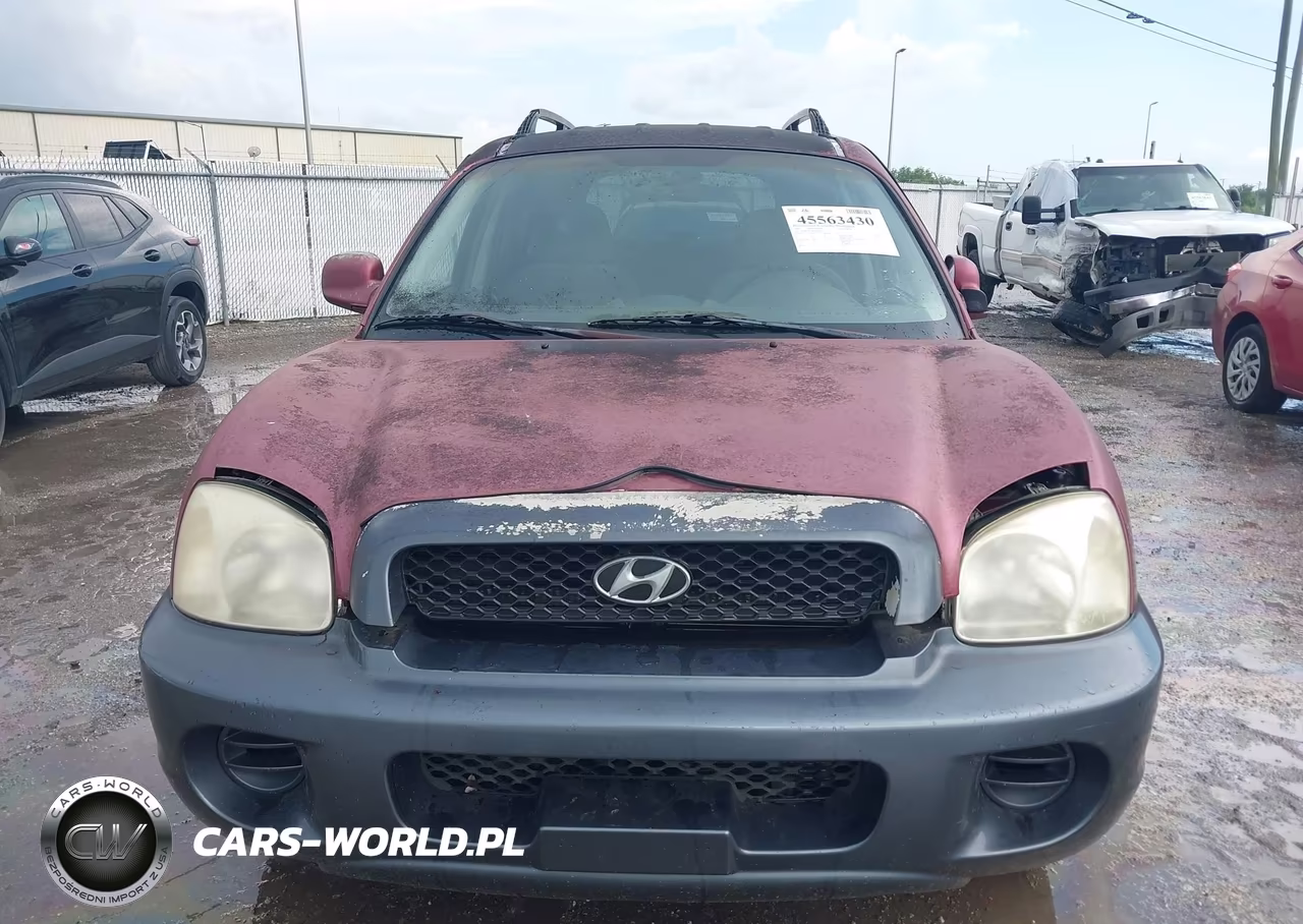 2003 Hyundai Santa Fe VIN:KM8SB12B93U451847 - 12