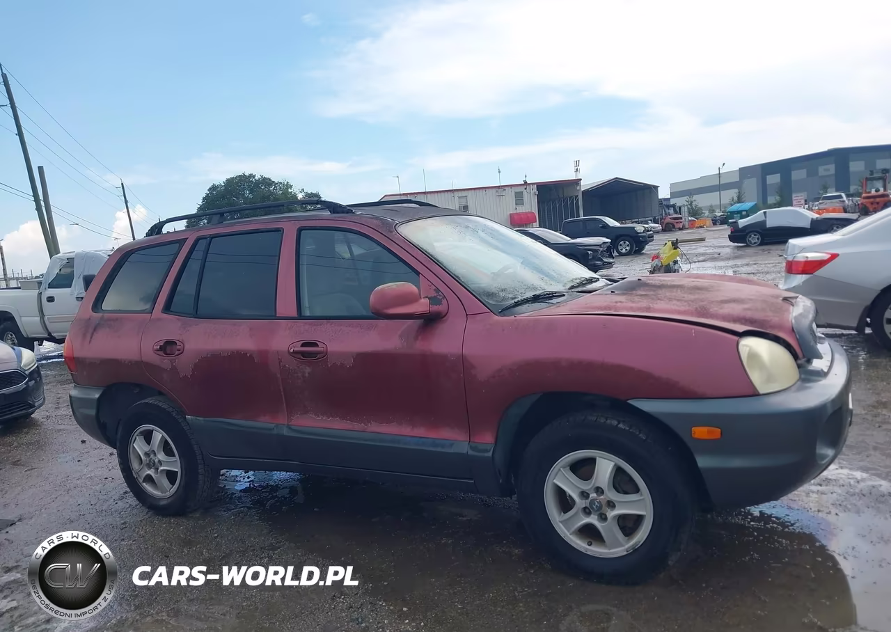 2003 Hyundai Santa Fe VIN:KM8SB12B93U451847 - 13