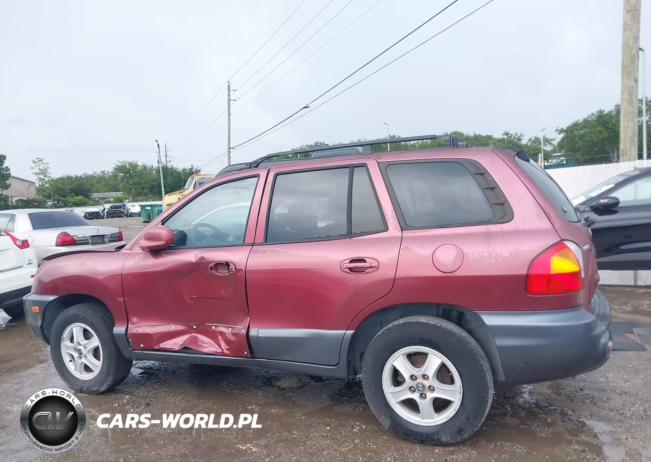 2003 Hyundai Santa Fe VIN:KM8SB12B93U451847 - 14