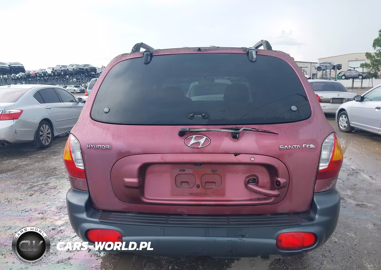 2003 Hyundai Santa Fe VIN:KM8SB12B93U451847 - 16
