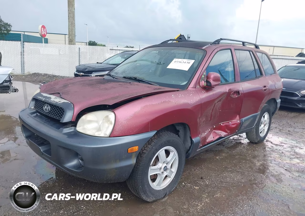 2003 Hyundai Santa Fe VIN:KM8SB12B93U451847 - 2