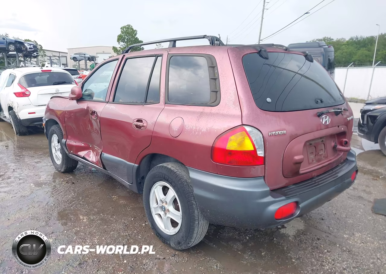 2003 Hyundai Santa Fe VIN:KM8SB12B93U451847 - 3
