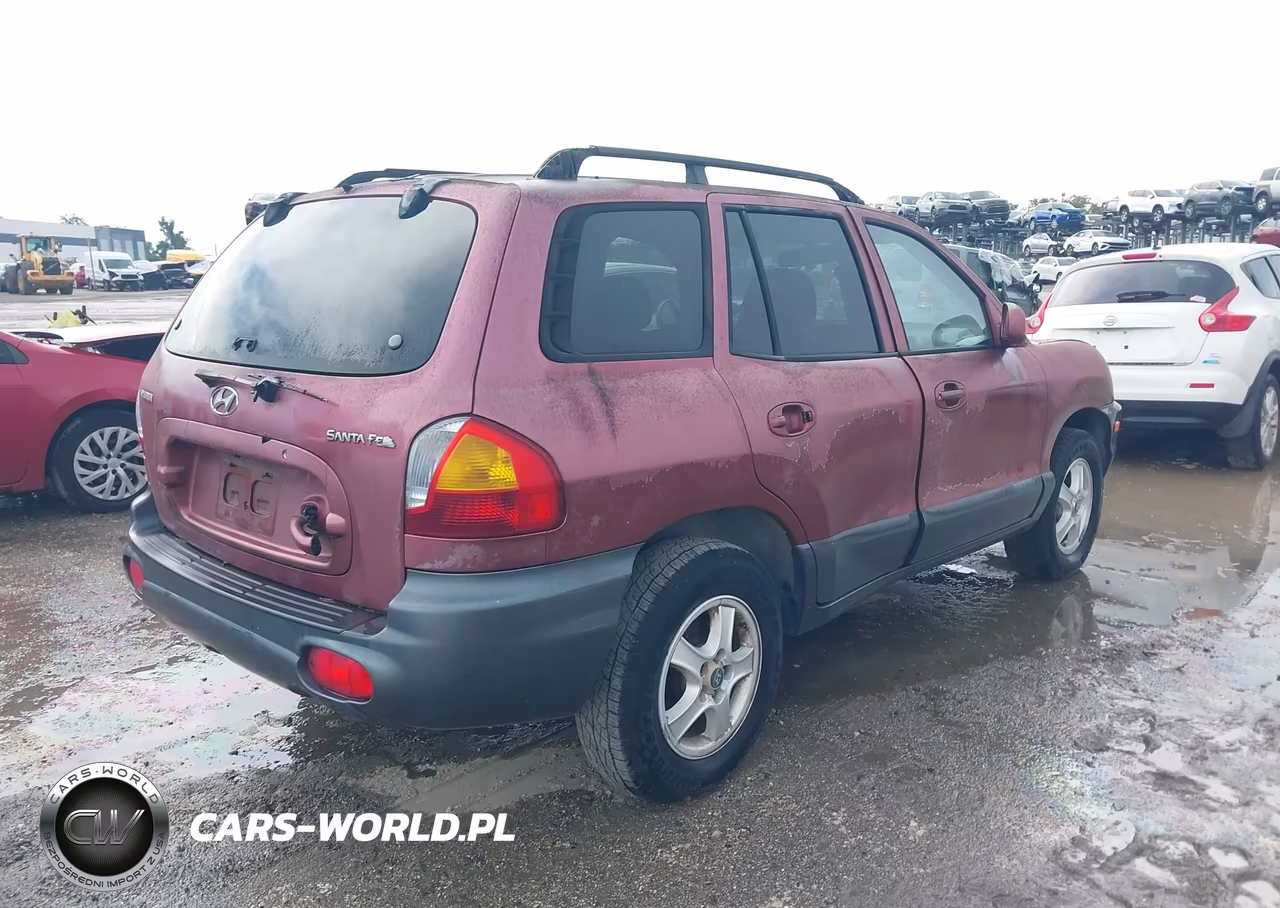 2003 Hyundai Santa Fe VIN:KM8SB12B93U451847 - 4