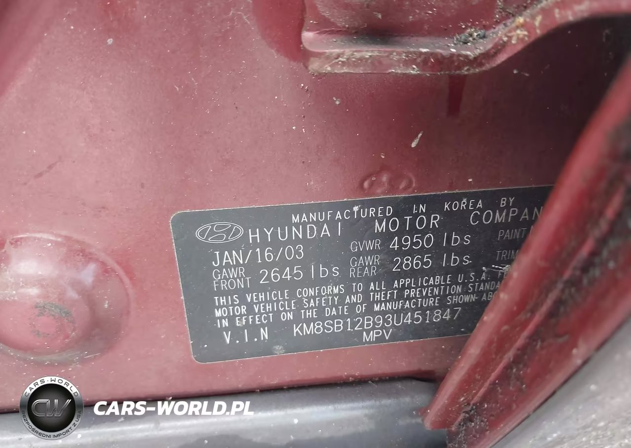 2003 Hyundai Santa Fe VIN:KM8SB12B93U451847 - 9