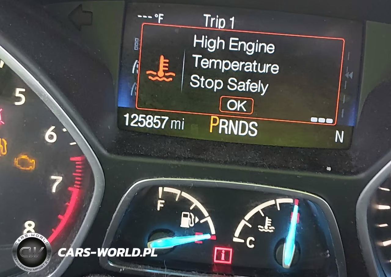 2019 Ford Escape Sel VIN:1FMCU0HD7KUA10640 - 16