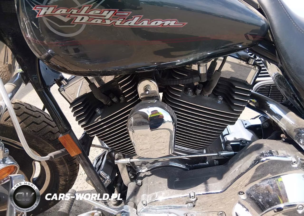 2005 Harley-Davidson Flhri VIN:1HD1FBW105Y706973 - 9