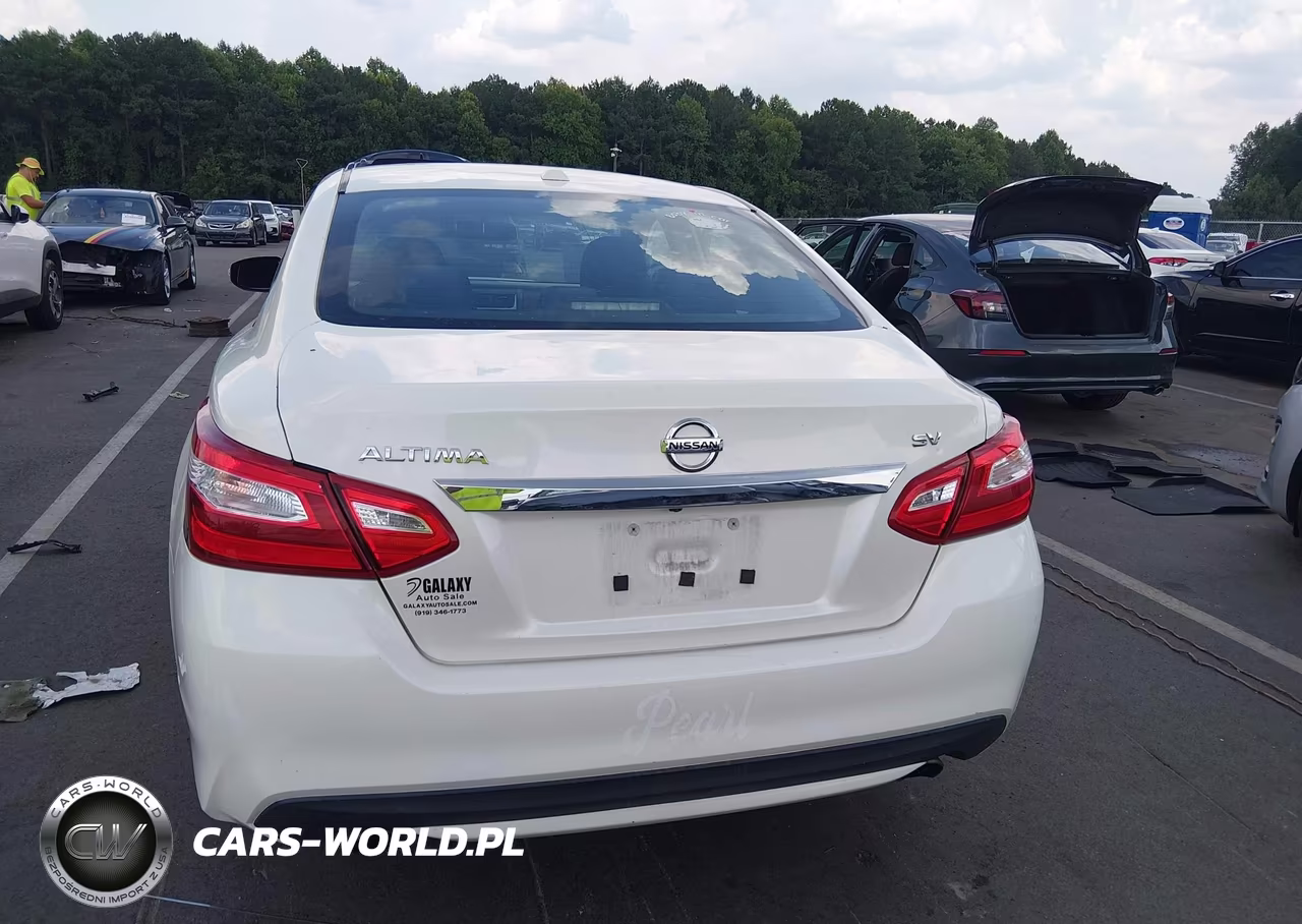 2016 Nissan Altima 2.5 Sv VIN:1N4AL3AP7GC260984 - 17