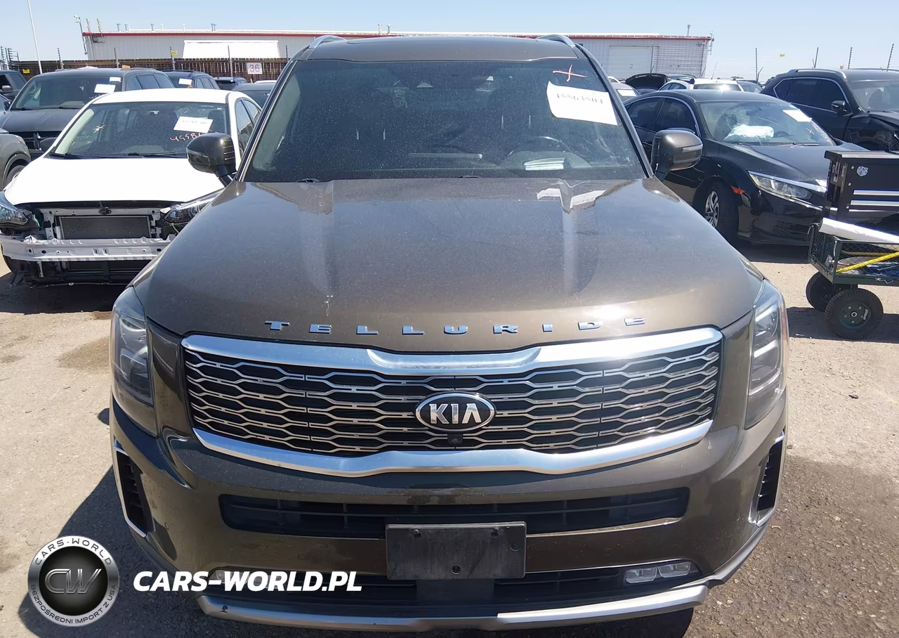 2020 Kia Telluride Sx VIN:5XYP5DHC0LG075382 - 12