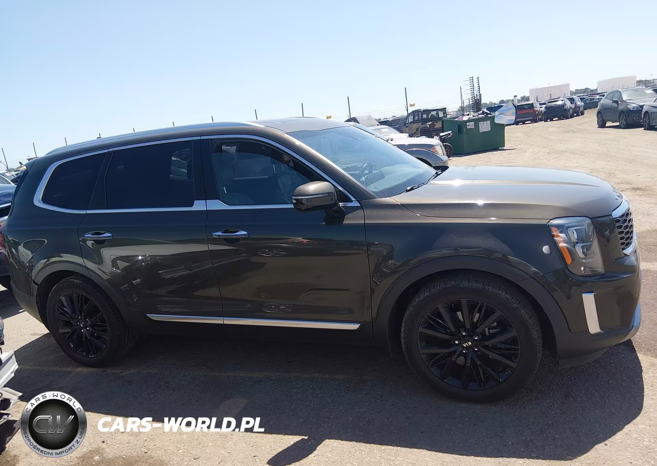 2020 Kia Telluride Sx VIN:5XYP5DHC0LG075382 - 13