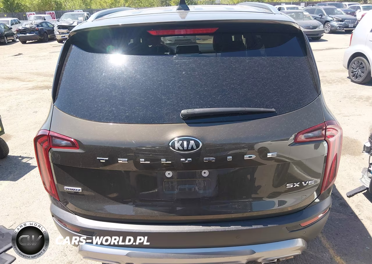 2020 Kia Telluride Sx VIN:5XYP5DHC0LG075382 - 16