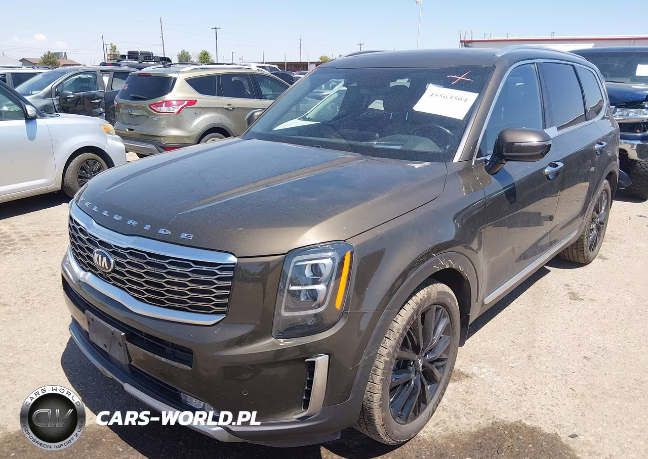 2020 Kia Telluride Sx VIN:5XYP5DHC0LG075382 - 2