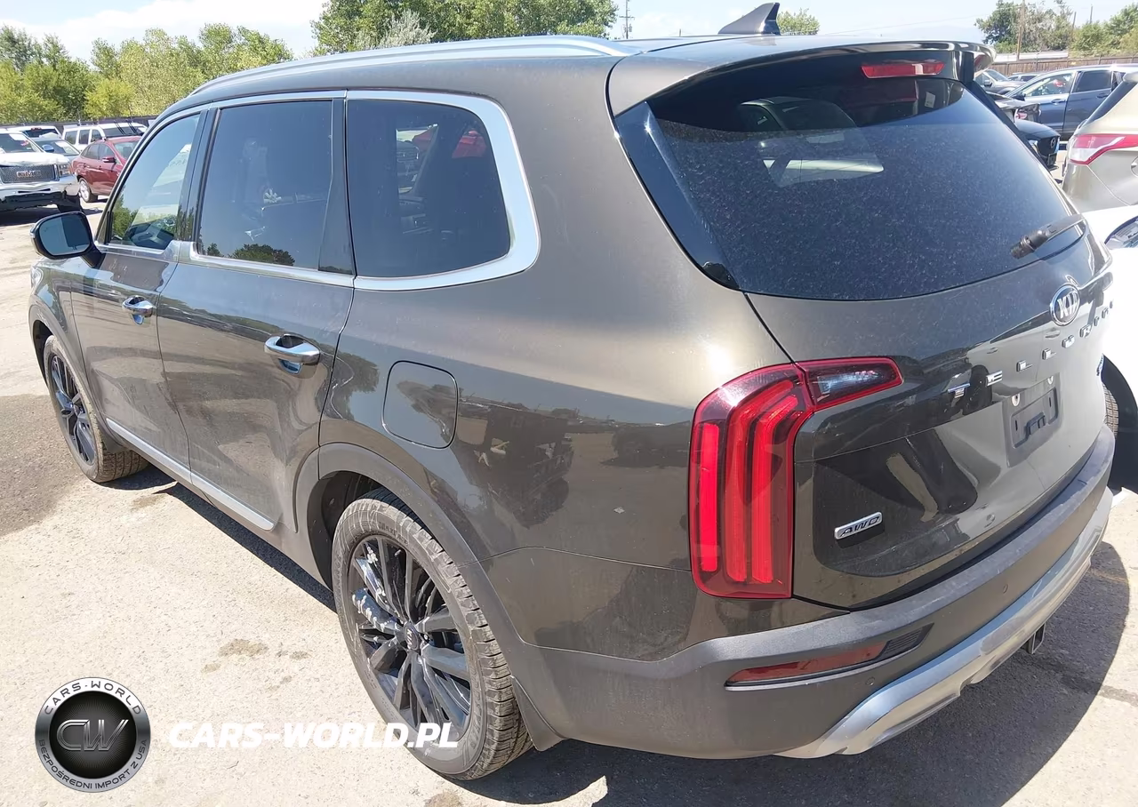 2020 Kia Telluride Sx VIN:5XYP5DHC0LG075382 - 3