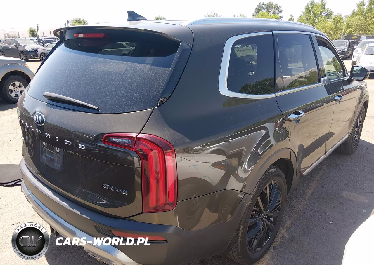 2020 Kia Telluride Sx VIN:5XYP5DHC0LG075382 - 4