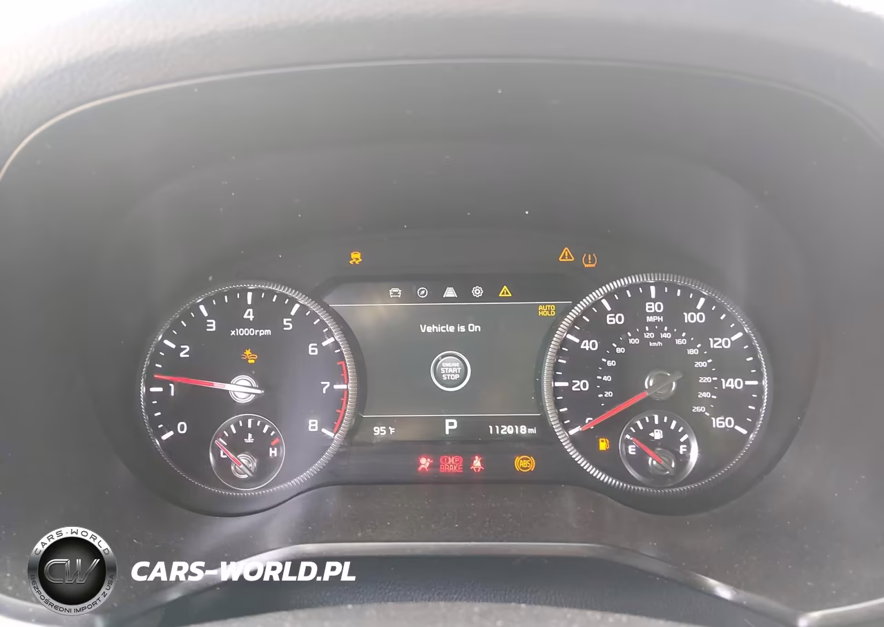 2020 Kia Telluride Sx VIN:5XYP5DHC0LG075382 - 7