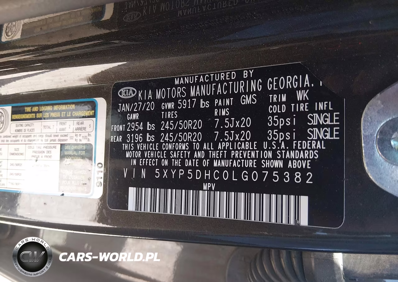 2020 Kia Telluride Sx VIN:5XYP5DHC0LG075382 - 9