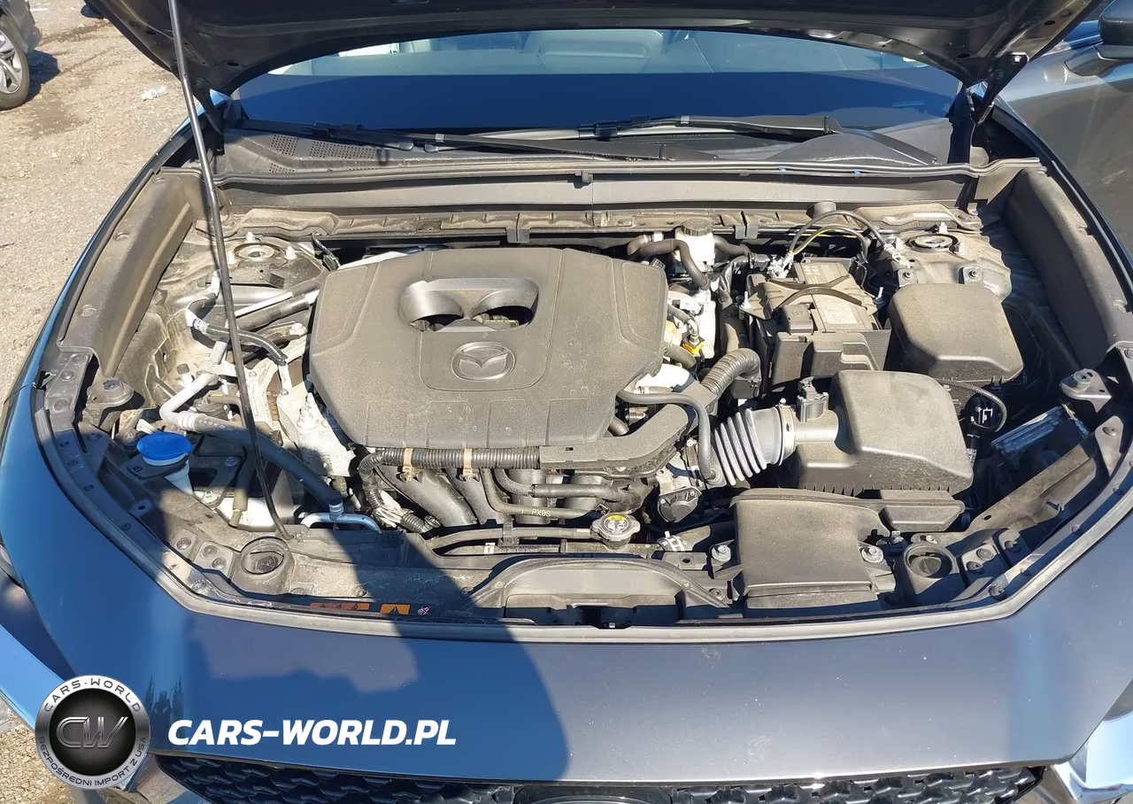 2023 Mazda Cx-30 2.5 S Preferred VIN:3MVDMBCMXPM588608 - 10