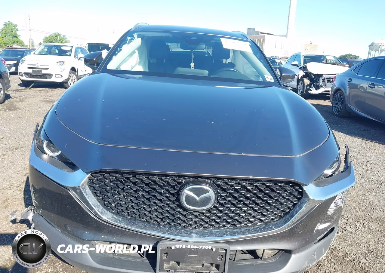 2023 Mazda Cx-30 2.5 S Preferred VIN:3MVDMBCMXPM588608 - 12