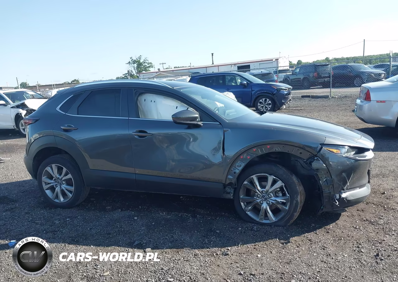 2023 Mazda Cx-30 2.5 S Preferred VIN:3MVDMBCMXPM588608 - 13