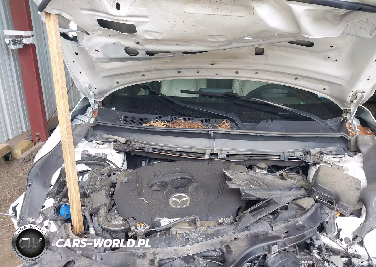 2018 Mazda Cx-9 Grand Touring VIN:JM3TCBDY9J0221962 - 10