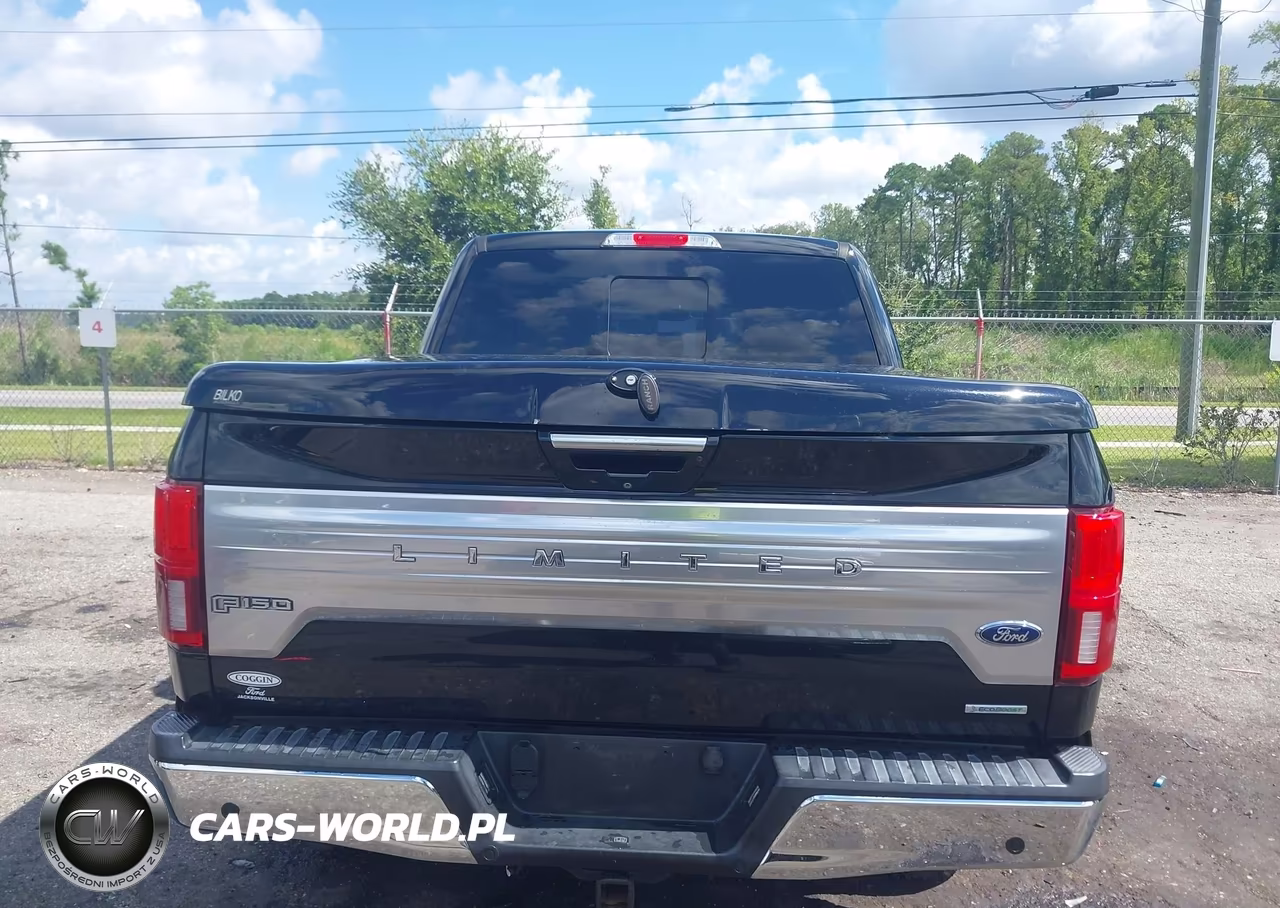 2018 Ford F-150 King Ranch-Lariat-Limited-Platinum-Xl-Xlt VIN:1FTEW1EG1JFC86455 - 16