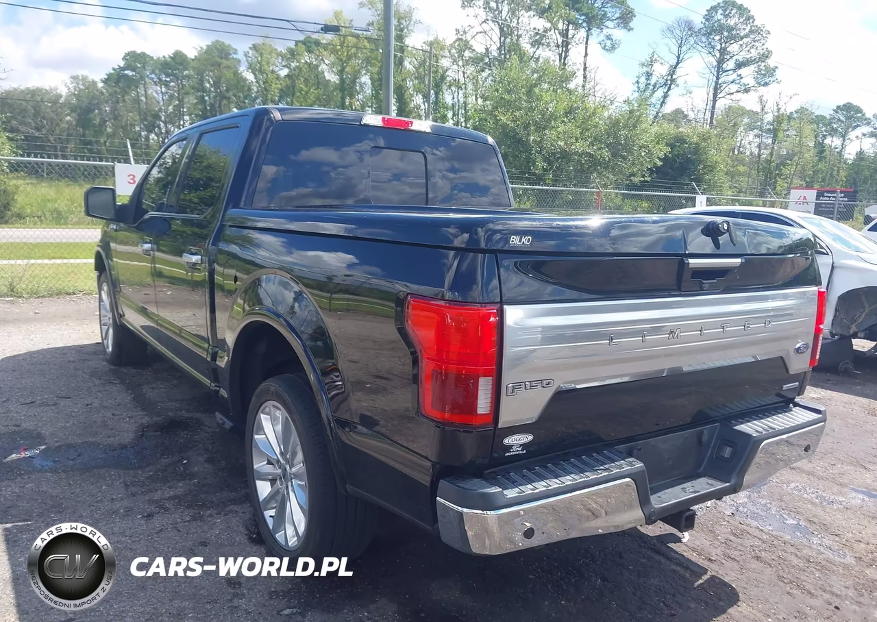 2018 Ford F-150 King Ranch-Lariat-Limited-Platinum-Xl-Xlt VIN:1FTEW1EG1JFC86455 - 3