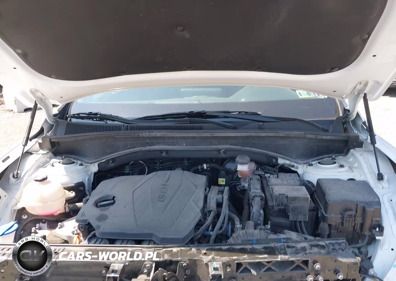 2023 Hyundai Santa Fe Sel VIN:5NMS3DAJ6PH603351 - 10