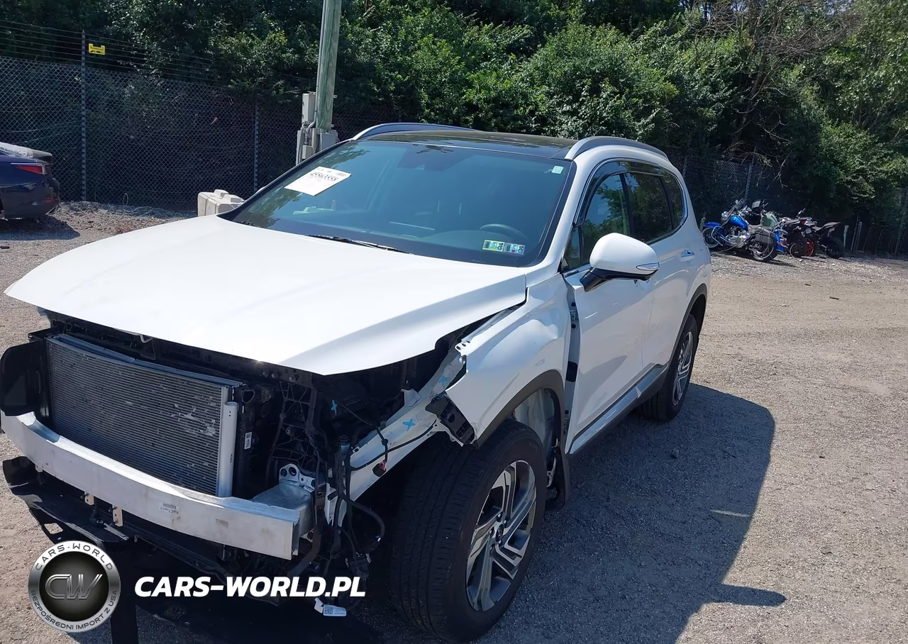 2023 Hyundai Santa Fe Sel VIN:5NMS3DAJ6PH603351 - 2