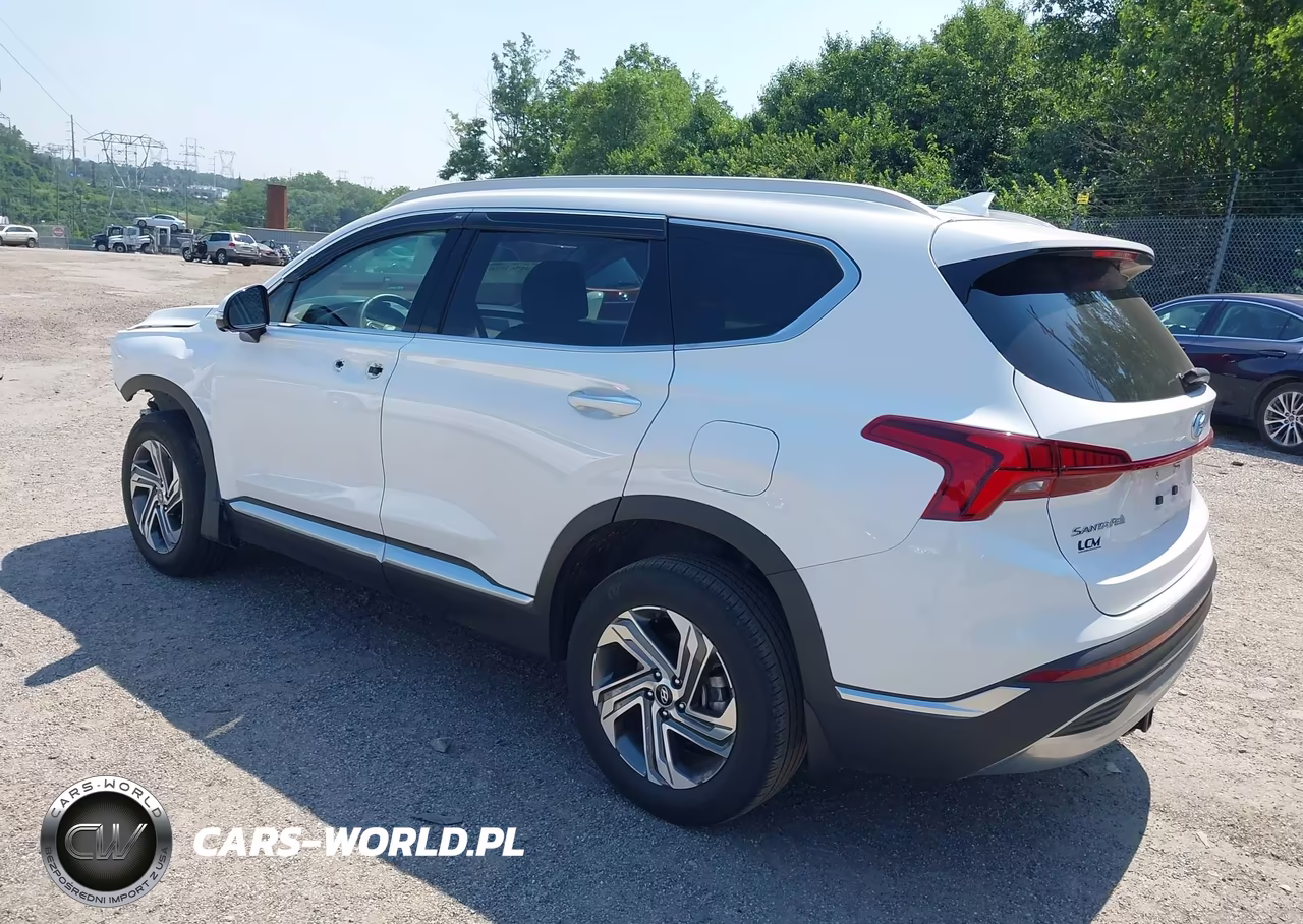 2023 Hyundai Santa Fe Sel VIN:5NMS3DAJ6PH603351 - 3