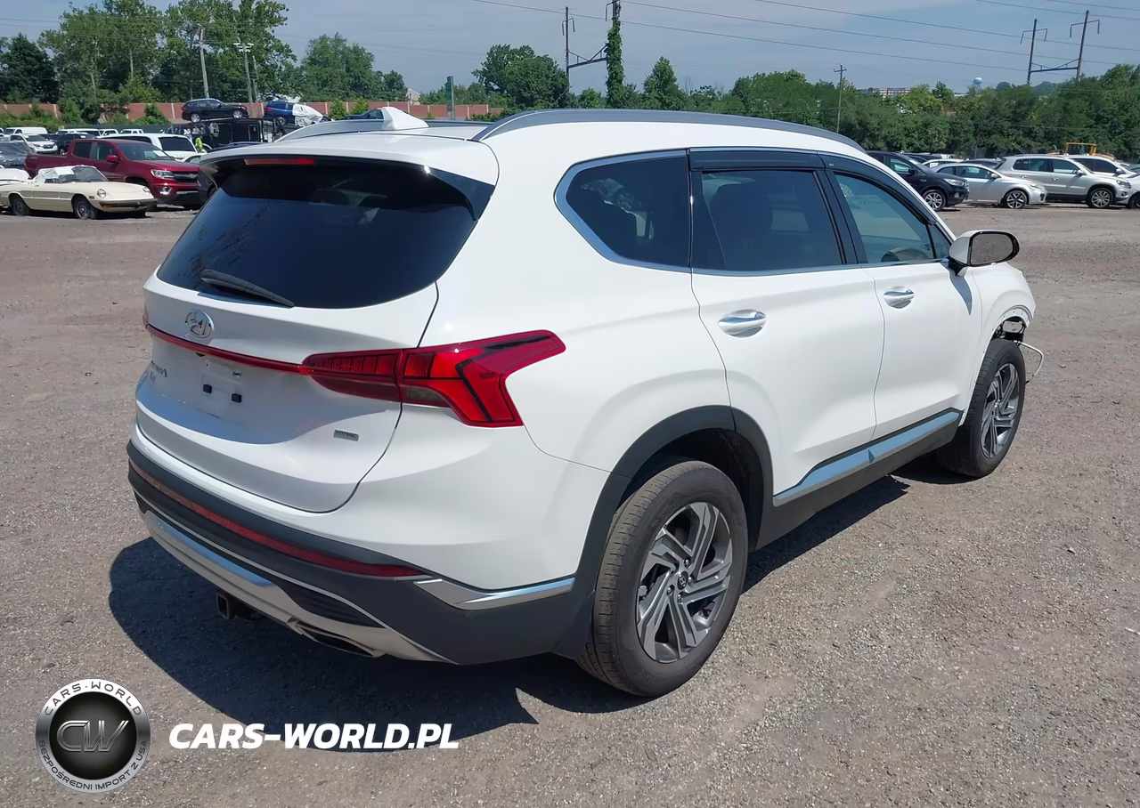 2023 Hyundai Santa Fe Sel VIN:5NMS3DAJ6PH603351 - 4